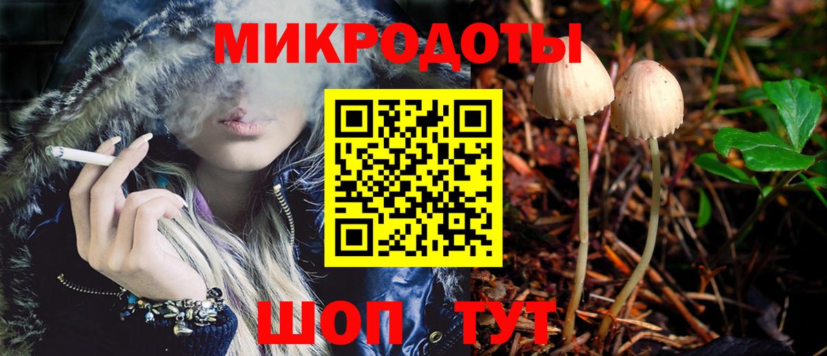 Серпухов  Псилоцибиновые грибы прущие грибы  Вход с VPN 